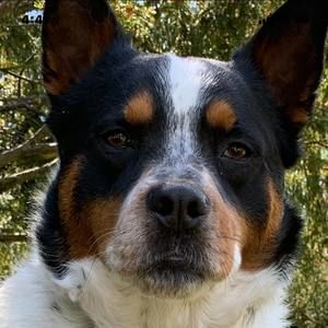 Meet your Posher, Barbara